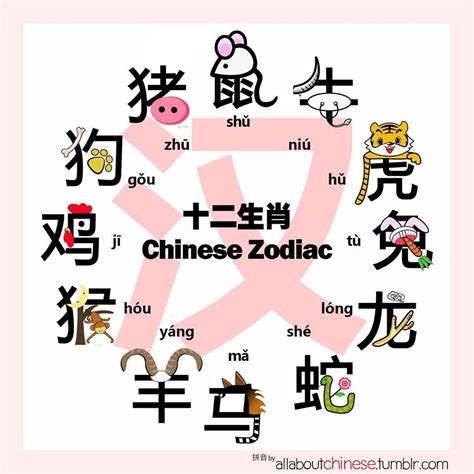 十二生肖蛇|The Chinese Zodiac in Mandarin 十二生肖知多少